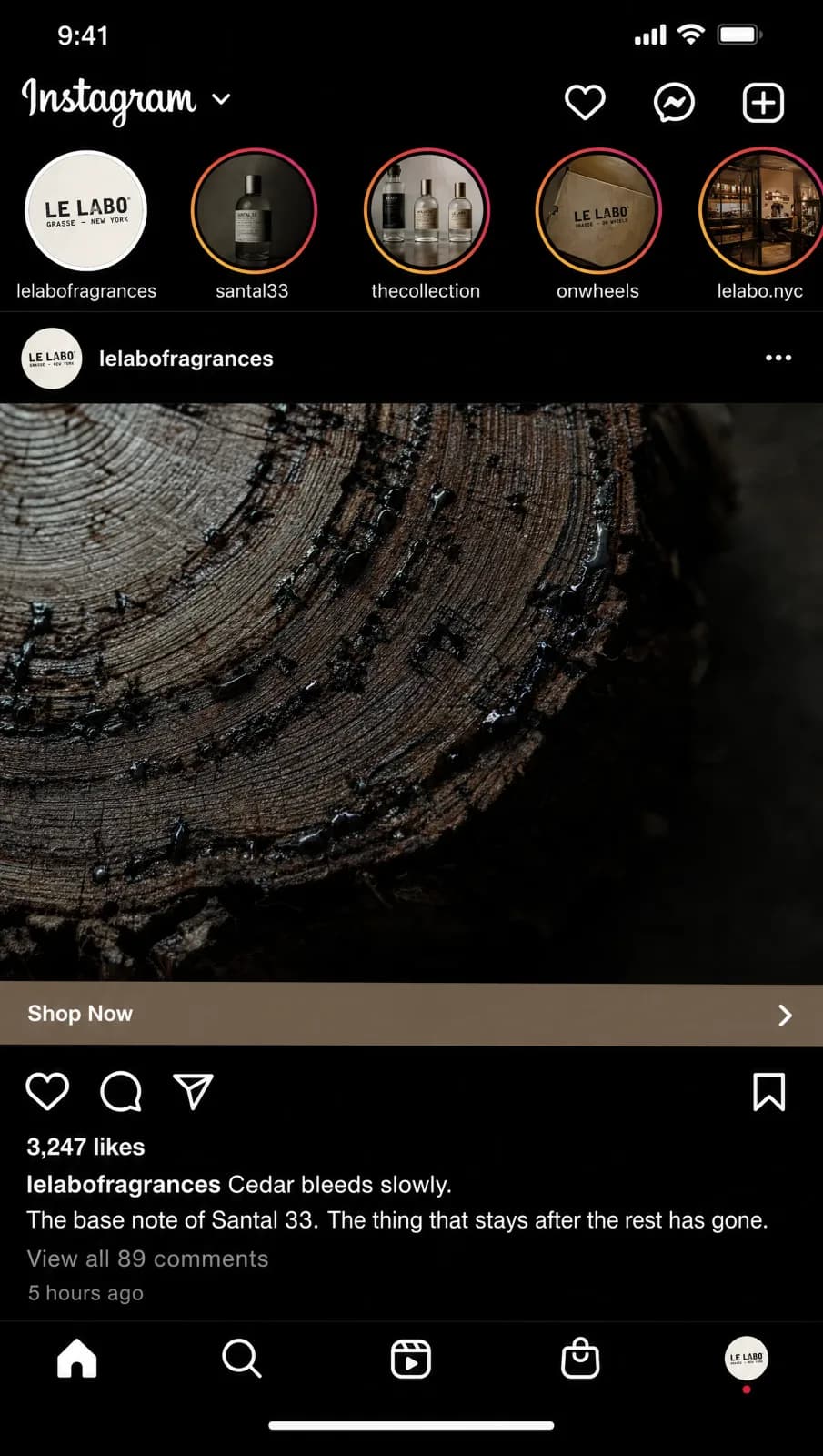 Macro close-up of a sandalwood root cross-section for the Santal 33 campaign.